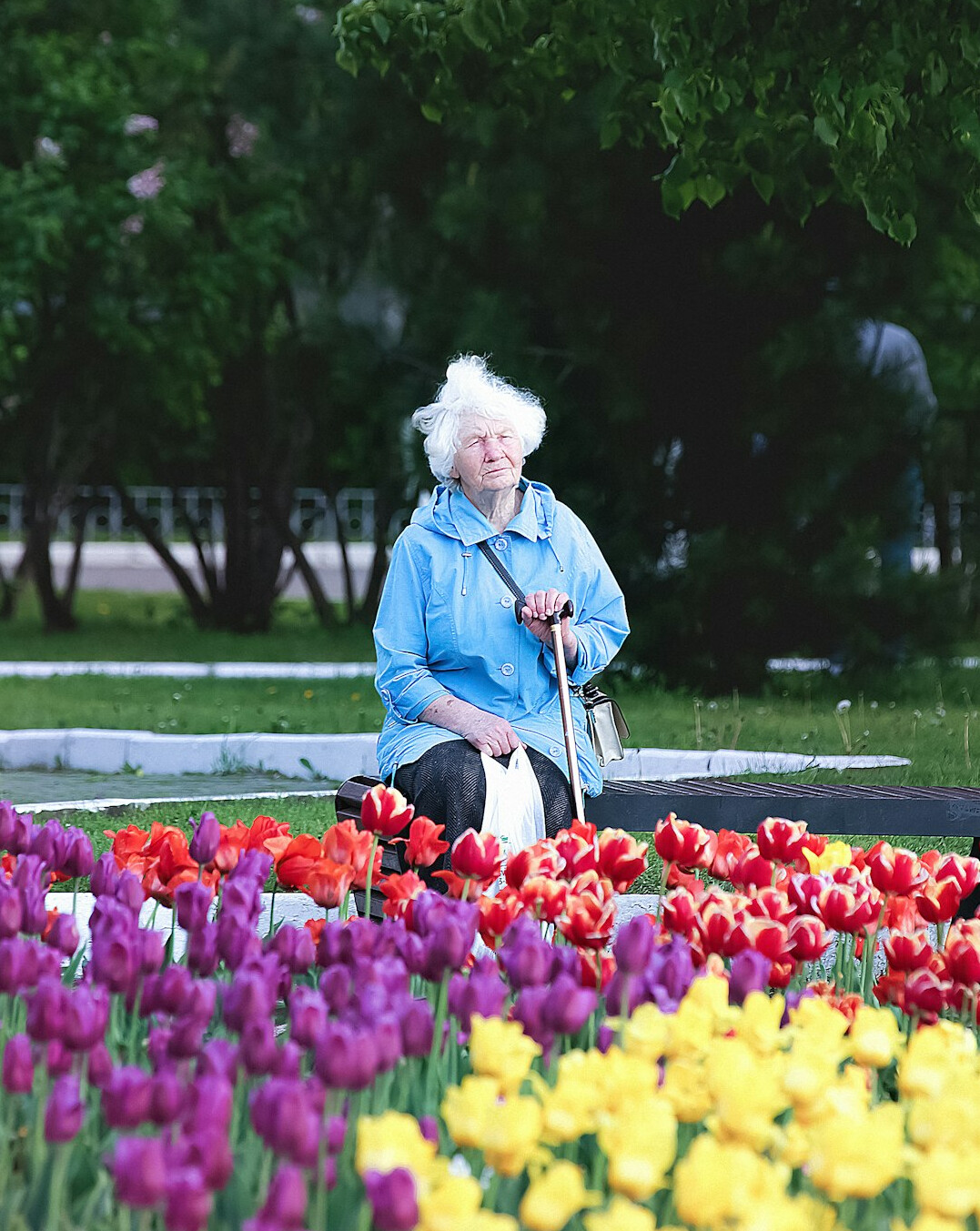 elderly people gardening