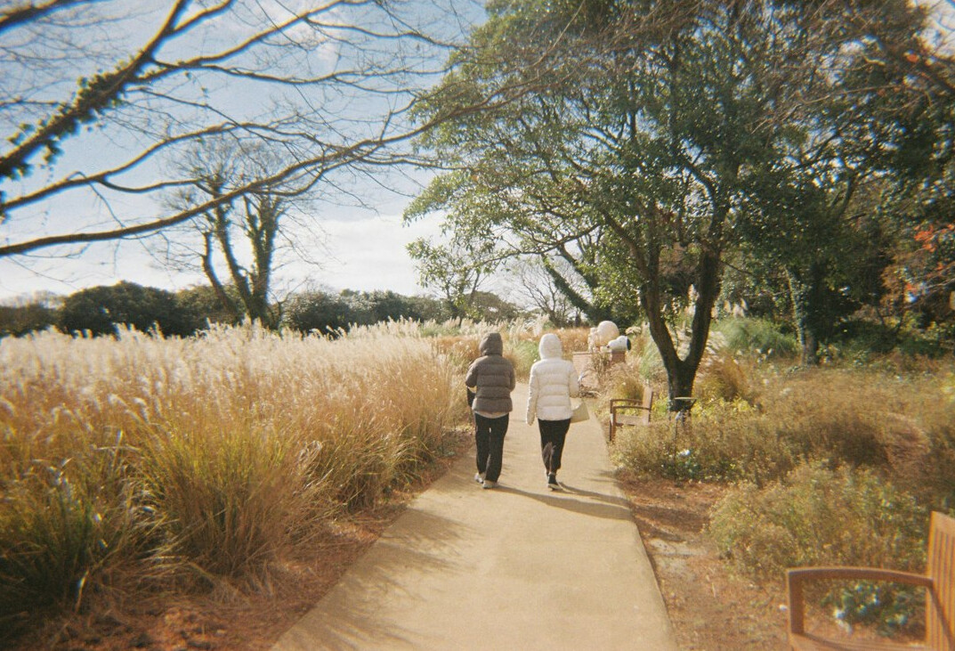 seniors walking in park