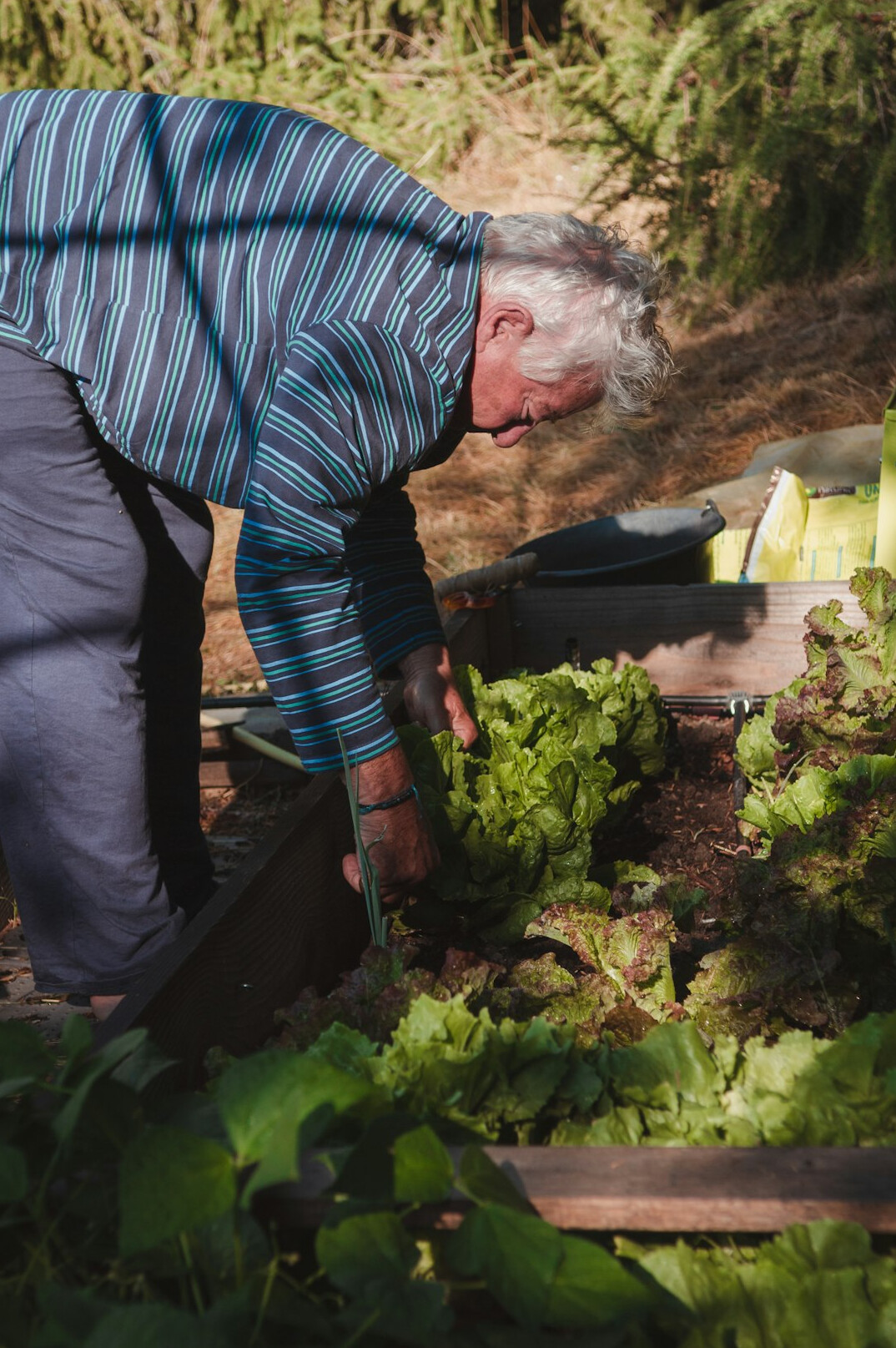 seniors in garden together